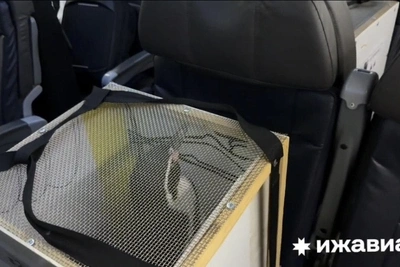 Сочинские пингвины переехали в Ижевск на самолете