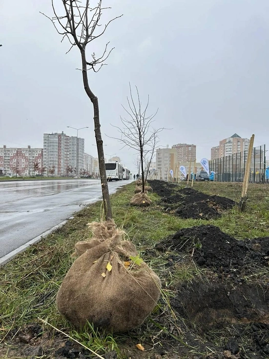 Источник: lipetskcity.ru