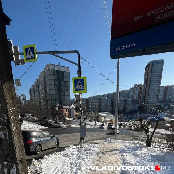 Источник: Елена Буйвол / VLADIVOSTOK1.RU