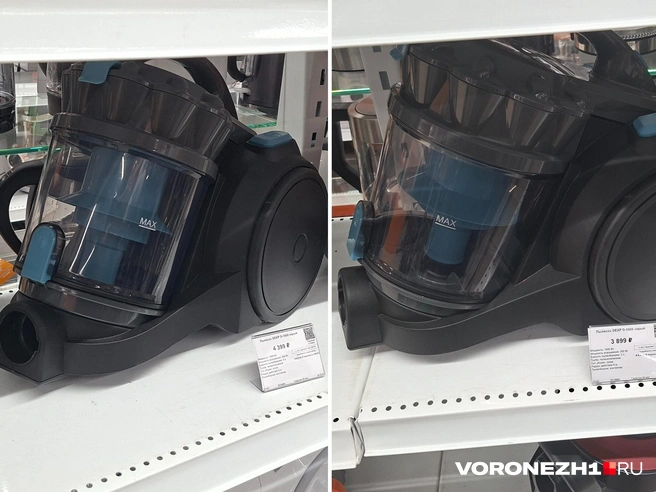 Источник: Алёна Воропаева / Voronezh1.ru