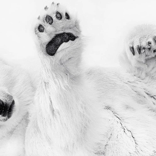 Источник: Eberhard Ehmke / Fine Art Photography Awards 2025