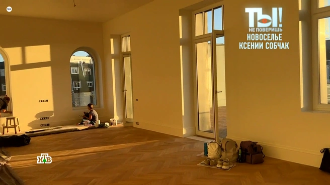 Источник: кадр из программы «Ты не поверишь!» (16+), НТВ, 2025 год