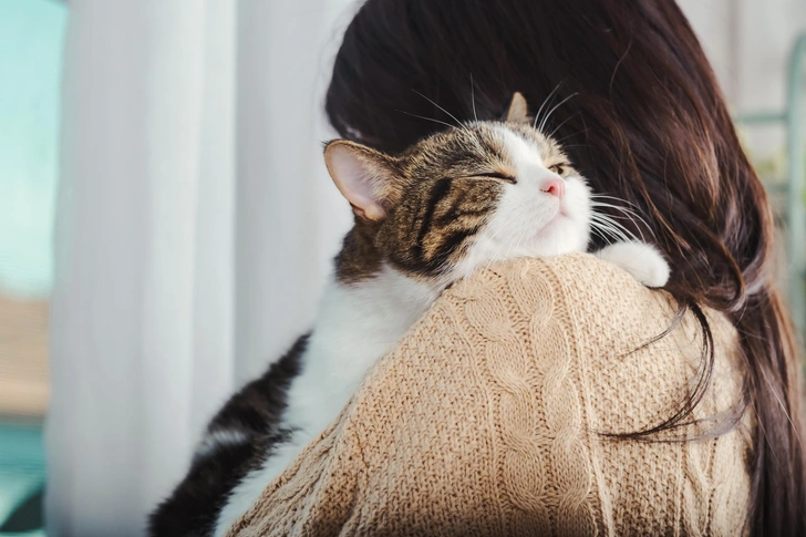 Кошка танцует, кошка кричит: 20 самых ярких снимков лауреатов ежегодной фотопремии 35awards, Всемирный день кошек, смешные фото кошек | Источник: Shutterstock/Fotodom.ru