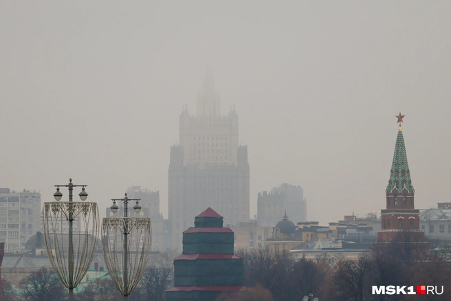 МЧС предупредило о густом тумане в Москве и Подмосковье | Источник: Артём Устюжанин / MSK1.RU