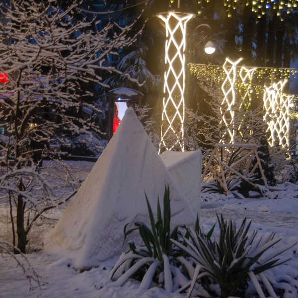 Сугробы на ножках — это пальмы | Источник: Оксана Витязь