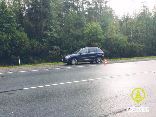 Источник: «Дорожный инспектор» / vk.com