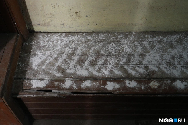 В доме рассыпают средства борьбы с животными и насекомыми | Источник: Андрей Бортко / NGS.RU