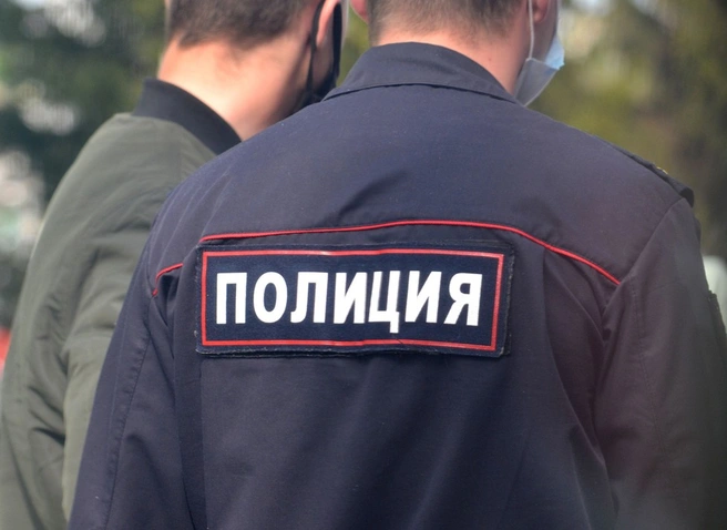 В Госдуме заявили, что мобилизация силовиков приведет к росту преступности | ya62.ru