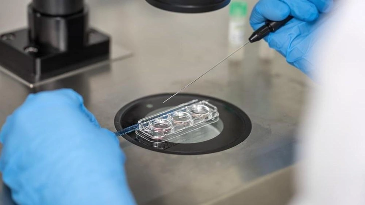 Источник: bezikus/Shutterstock/Fotodom.ru