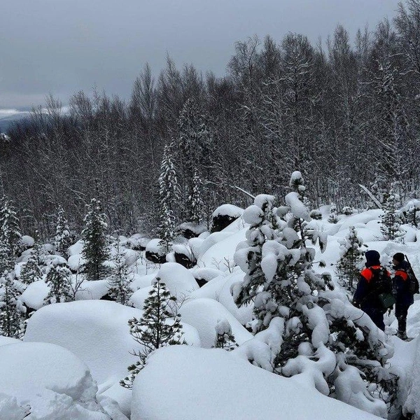 Источник: ДПСО «ЛизаАлерт» Красноярского края