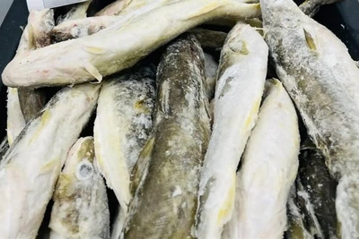В Южно-Сахалинске назвали точки продажи рыбы по соцценам
