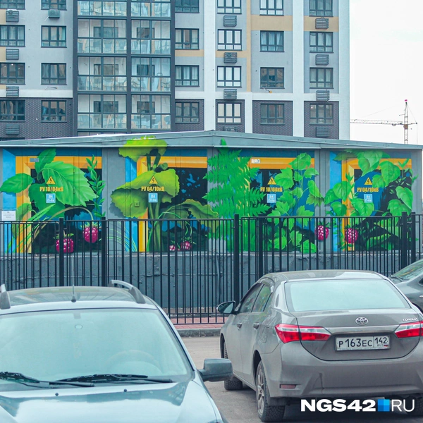 Источник: Валерия Городецкая / NGS42.RU