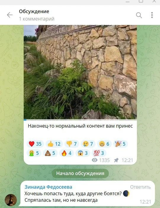 Еще один комментарий бота | Источник: Telegram