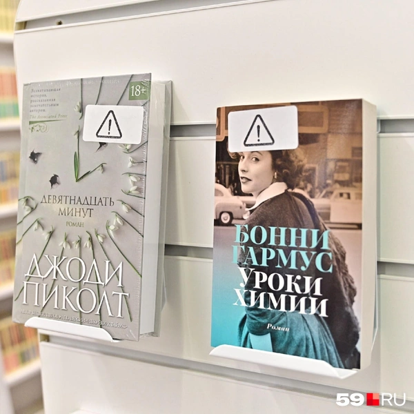 Сюжеты у этих книг отличаются, а вот знак&nbsp;— общий | Источник: Василина Любимова / 59.RU