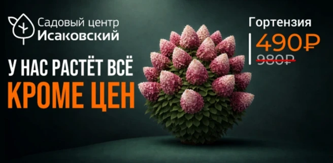 В коллекции садового центра — более 30 разновидностей гортензий | Источник: садовый центр «Исаковский»