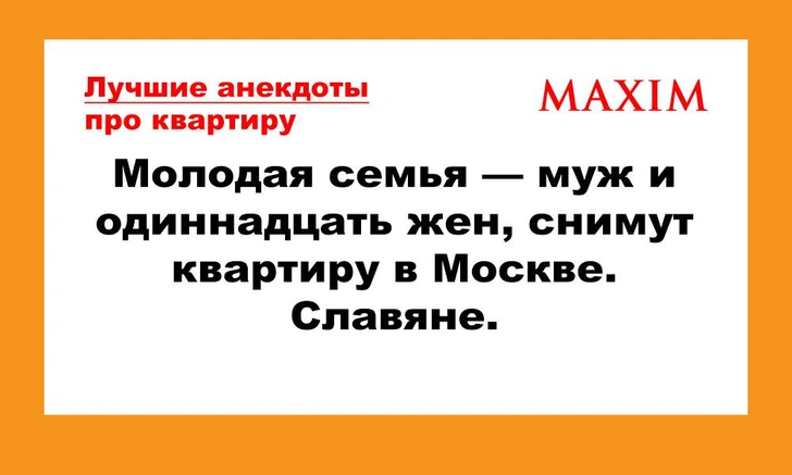Анекдоты про квартиру и ее съем | maximonline.ru