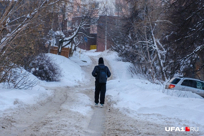 Местный житель прогуливается | Источник: Булат Салихов / UFA1.RU