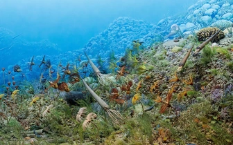 Время не помеха. Геологи проследили, как остывало морское дно 3,5 миллиарда лет назад