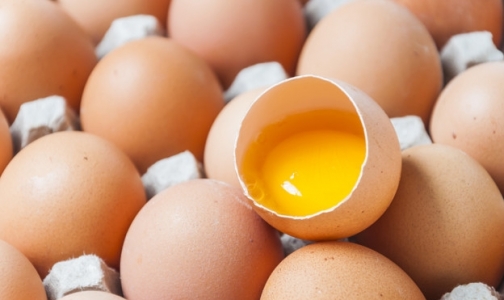 Фото №1 - Причиной вспышки сальмонеллеза в детсаду № 46 назвали мордовские яйца