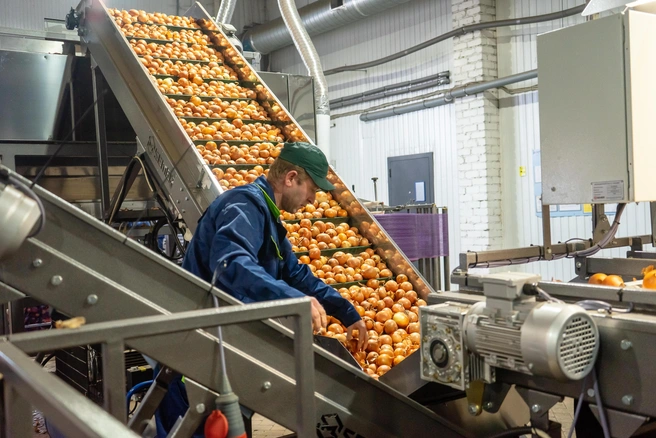 По итогам 2025 года через агроагрегаторы продукцию в торговые сети поставляли уже более 500 фермерских хозяйств, а общий объем отгрузок превысил 90&nbsp;тысяч тонн | Источник: пресс‑служба ретейлера
