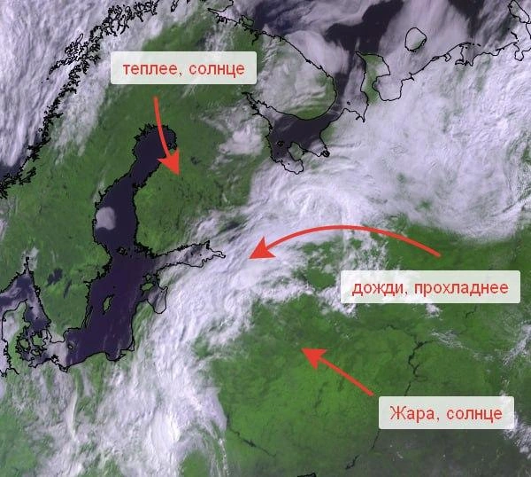 Источник: телеграм-канал Александра Колесова