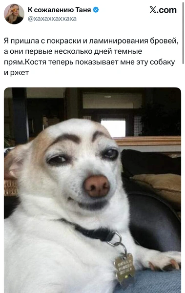 Источник: X (Twitter)