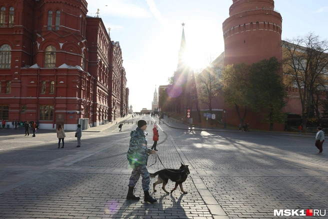 У центре столицы дежурят силовики: полиция и Росгвардия | Источник: Артем Устюжанин / MSK1.RU