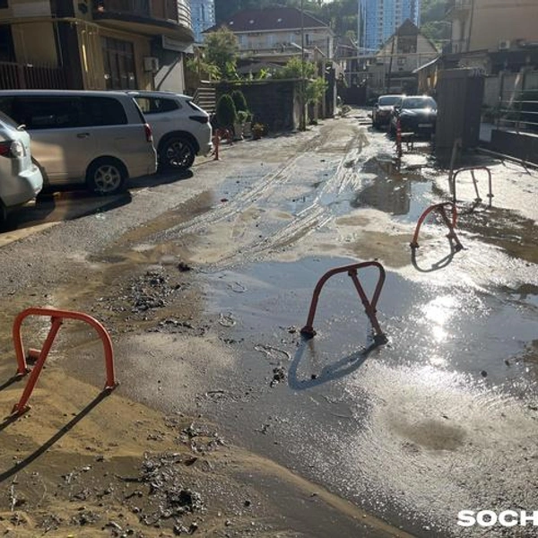 Источник: Анна Грицевич / SOCHI1.RU