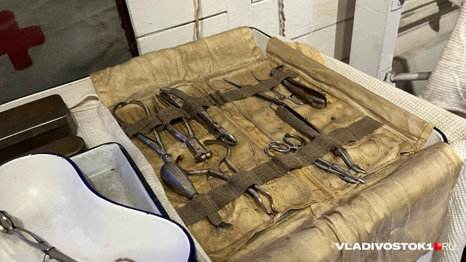 Источник: Елена Буйвол / VLADIVOSTOK1.RU