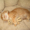 userpic__lil.elza