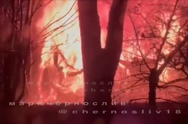 Кадры разлетелись в приморских Telegram-каналах | Источник: Марк Чернослив (Уссурийск) / Telegram