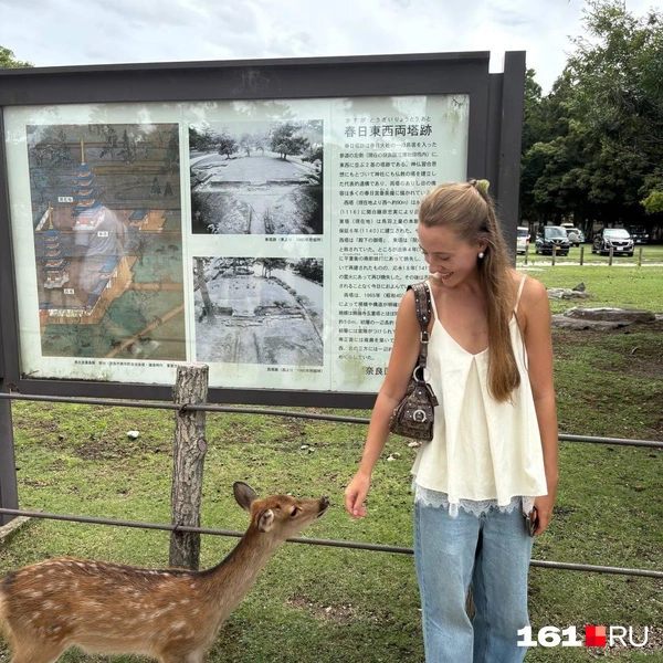 Источник: читатель 161.RU