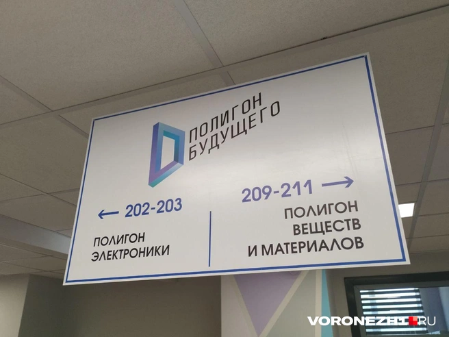 Источник: Дмитрий Волгин / Voronezh1.ru