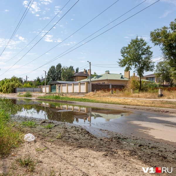 Водой залило и асфальт, и прилегающую к нему зеленую зону | Источник: Константин Завриков / V1.RU