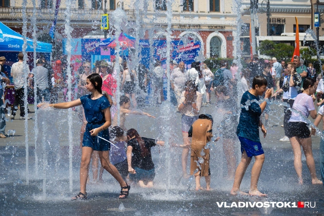 Источник: Елена Буйвол / VLADIVOSTOK1.RU
