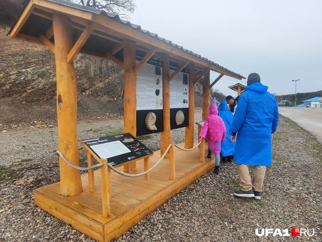 Можно узнать много неожиданного о своем родном крае | Источник: Марина Каримова / UFA1.RU