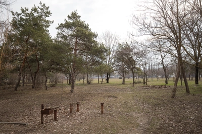 На 5 марта в Ростовской области ожидается дождь и сильный ветер