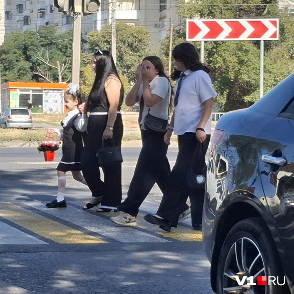 А кто-то решил подарить цветочек в горшке | Источник: Тимофей Крылов / V1.RU