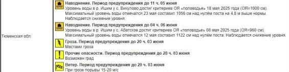 Расшифровка «желтого» уровня опасности (у нас в регионе будет сильная гроза, ветер и прочие неблагоприятные условия | Источник: meteoinfo.ru