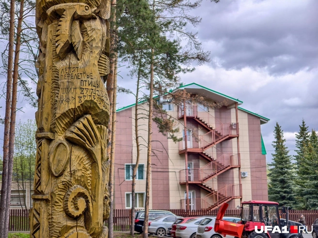 Перелетные птицы действительно летят | Источник: Булат Салихов / UFA1.RU