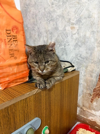 Источник: Татьяна Никулина