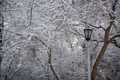 МЧС предупреждает о штормовом ветре и метелях