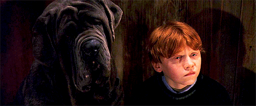 10 вещей, которые Джоан Роулинг планировала сделать в «Гарри Поттере», но передумала