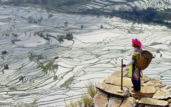 Жизнь как чудо: рисовые террасы Китая