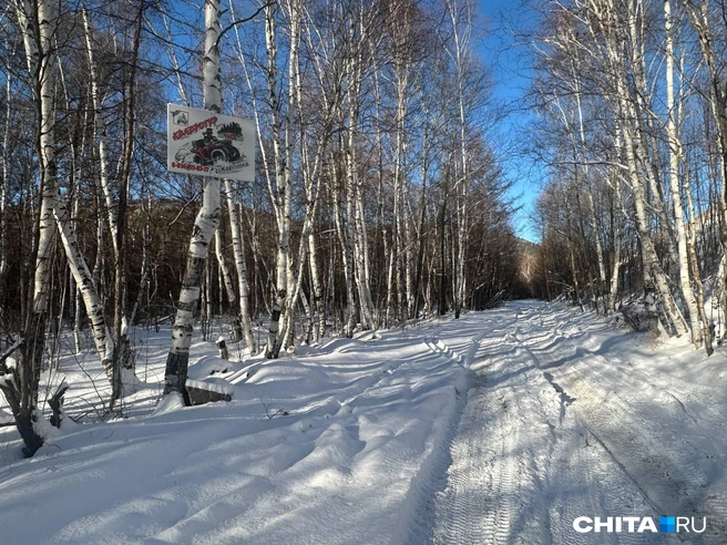 Фото сделано в ноябре | Источник: очевидец