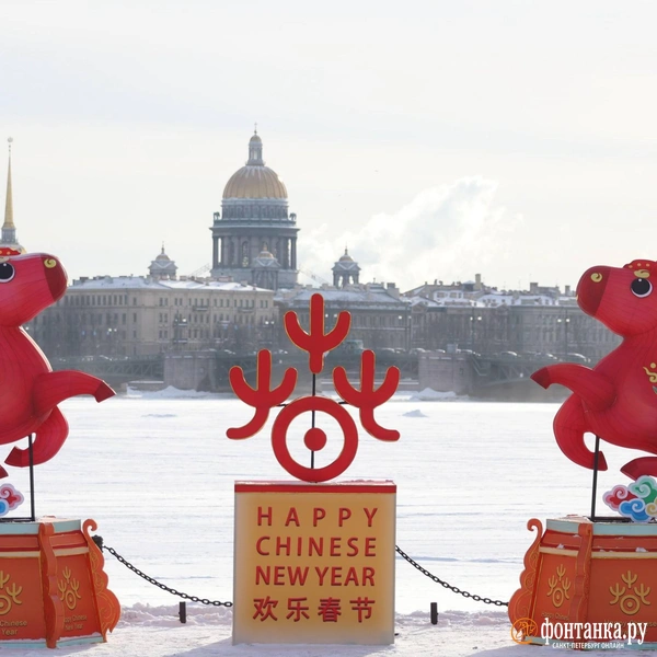 Источник: Сергей Михайличенко / FONTANKA.RU