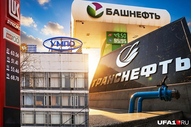 Топ крупнейших компаний Башкирии по выручке за прошлый год | Источник: Полина Авдошина / Городские медиа