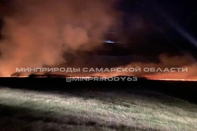 Четыре природных пожара за три дня в Самарской области