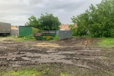 В Ленино решили проблему сухих веток