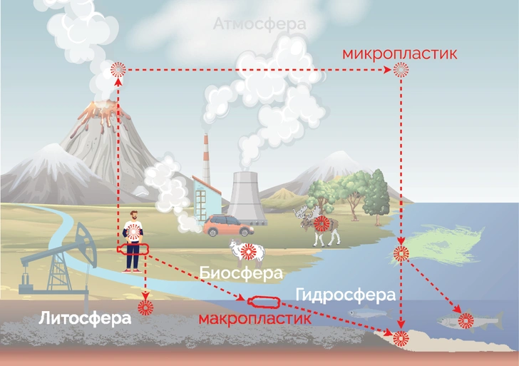 Пластиковая планета: как отходы помогают в борьбе с глобальным потеплением